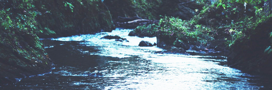 Water Blog image 09